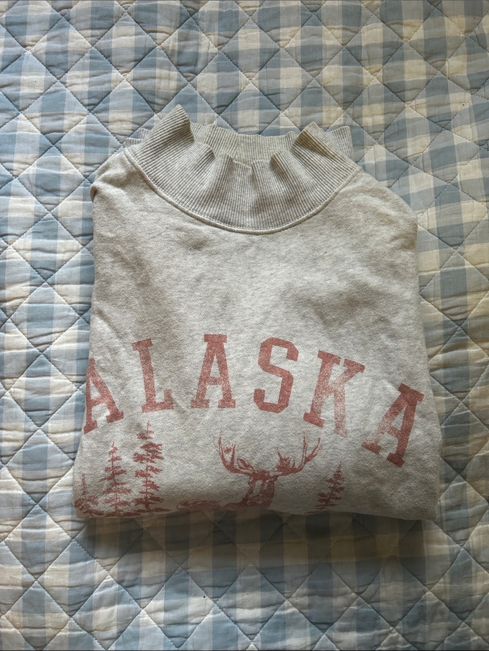 aerie Light Gray Mock Neck Sweatshirt with Dusty Rose Alaska Print